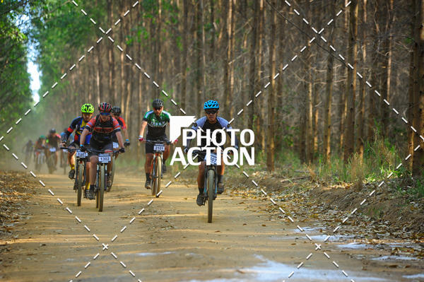 Buy your photos of the event16 Edio Maratona 100Km Canaviais on Fotop