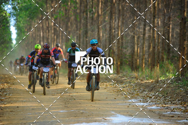 Buy your photos of the event16 Edio Maratona 100Km Canaviais on Fotop