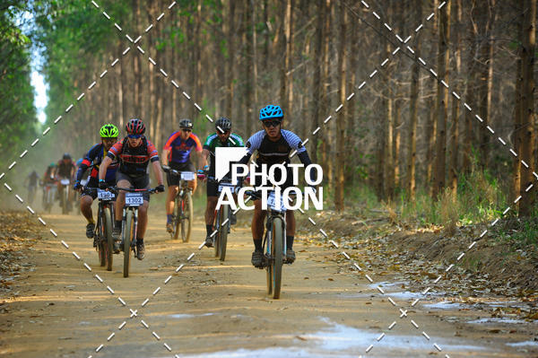 Buy your photos of the event16 Edio Maratona 100Km Canaviais on Fotop