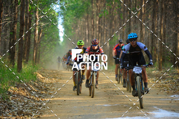 Buy your photos of the event16 Edio Maratona 100Km Canaviais on Fotop