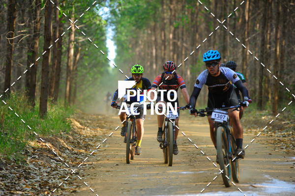 Buy your photos of the event16 Edio Maratona 100Km Canaviais on Fotop