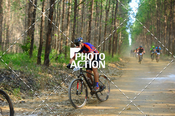 Buy your photos of the event16 Edio Maratona 100Km Canaviais on Fotop