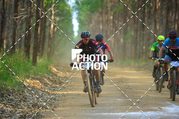 Buy your photos of the event16 Edio Maratona 100Km Canaviais on Fotop