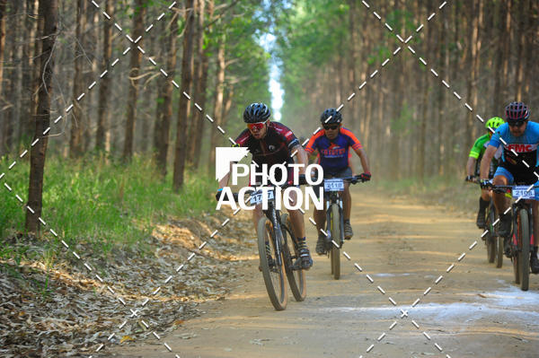 Buy your photos of the event16 Edio Maratona 100Km Canaviais on Fotop
