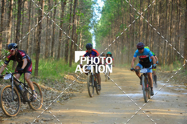 Buy your photos of the event16 Edio Maratona 100Km Canaviais on Fotop