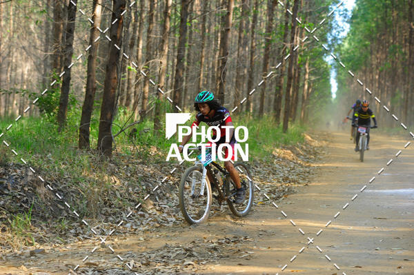 Buy your photos of the event16 Edio Maratona 100Km Canaviais on Fotop