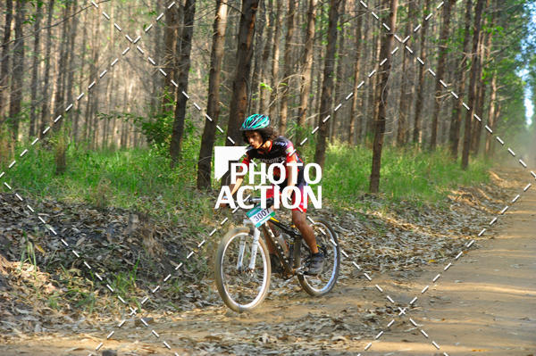 Buy your photos of the event16 Edio Maratona 100Km Canaviais on Fotop