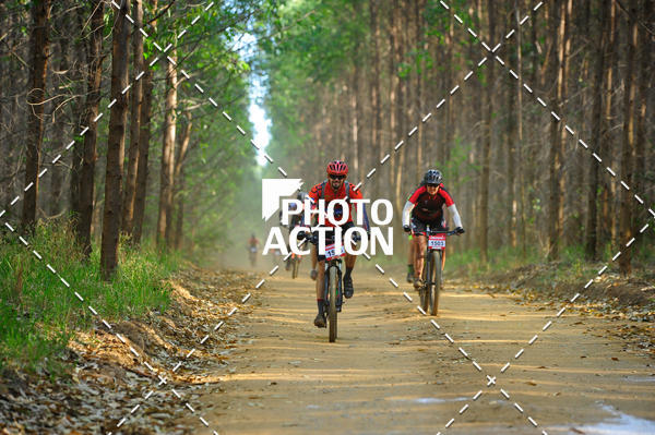 Buy your photos of the event16 Edio Maratona 100Km Canaviais on Fotop