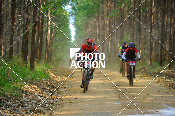 Buy your photos of the event16 Edio Maratona 100Km Canaviais on Fotop