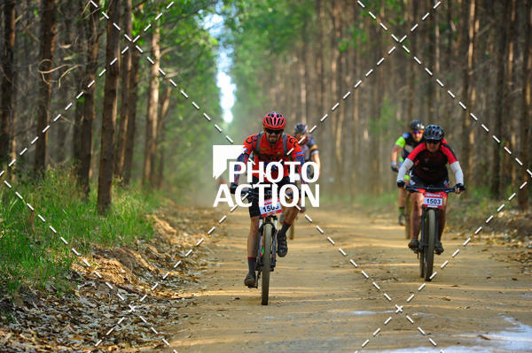 Buy your photos of the event16 Edio Maratona 100Km Canaviais on Fotop