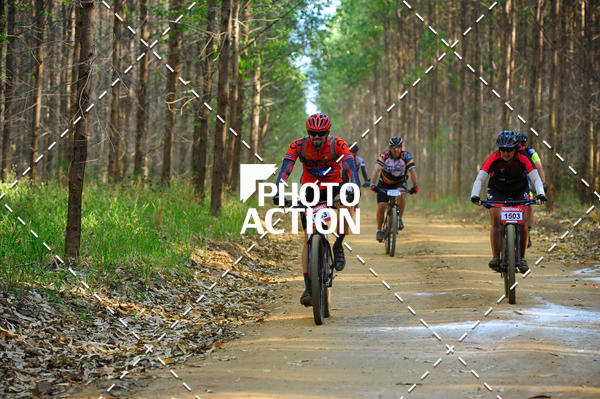 Buy your photos of the event16 Edio Maratona 100Km Canaviais on Fotop