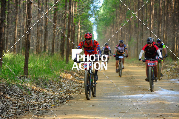Buy your photos of the event16 Edio Maratona 100Km Canaviais on Fotop