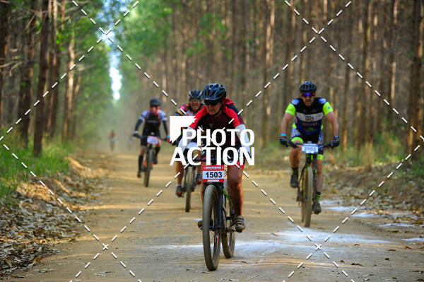 Buy your photos of the event16 Edio Maratona 100Km Canaviais on Fotop