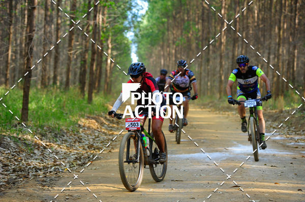 Buy your photos of the event16 Edio Maratona 100Km Canaviais on Fotop