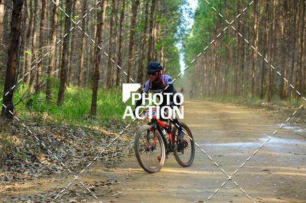 Buy your photos of the event16 Edio Maratona 100Km Canaviais on Fotop