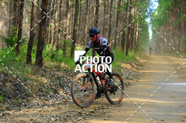 Buy your photos of the event16 Edio Maratona 100Km Canaviais on Fotop