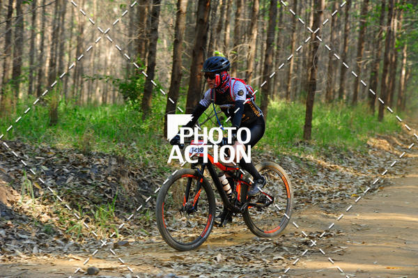 Buy your photos of the event16 Edio Maratona 100Km Canaviais on Fotop