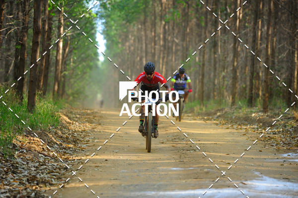 Buy your photos of the event16 Edio Maratona 100Km Canaviais on Fotop