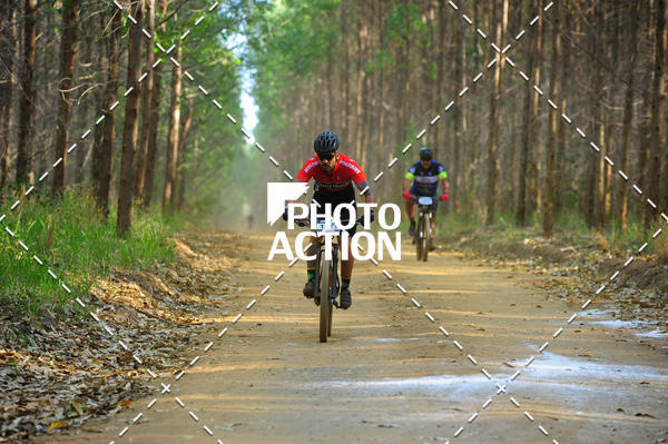 Buy your photos of the event16 Edio Maratona 100Km Canaviais on Fotop