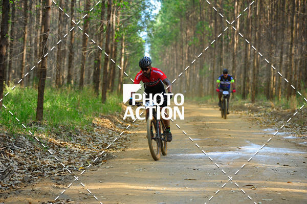 Buy your photos of the event16 Edio Maratona 100Km Canaviais on Fotop