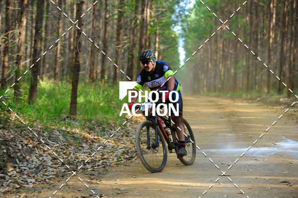 Buy your photos of the event16 Edio Maratona 100Km Canaviais on Fotop