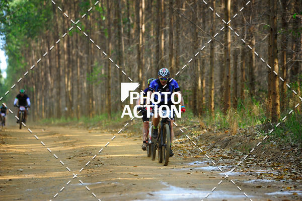 Buy your photos of the event16 Edio Maratona 100Km Canaviais on Fotop