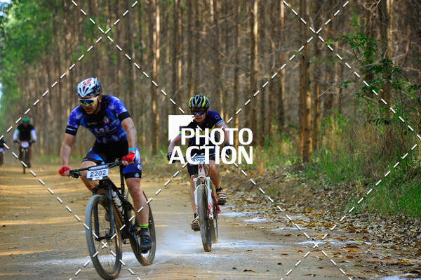 Buy your photos of the event16 Edio Maratona 100Km Canaviais on Fotop