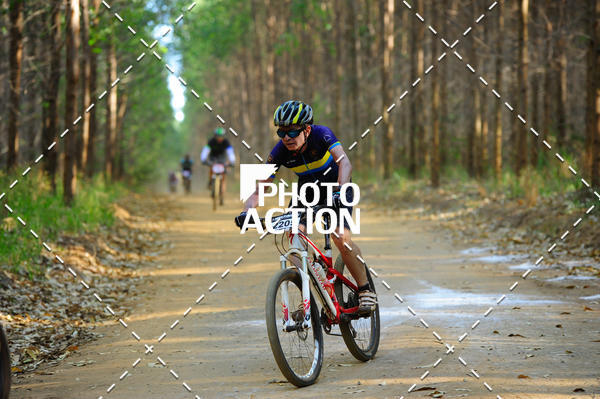 Buy your photos of the event16 Edio Maratona 100Km Canaviais on Fotop