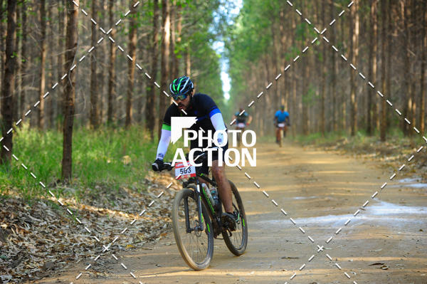 Buy your photos of the event16 Edio Maratona 100Km Canaviais on Fotop