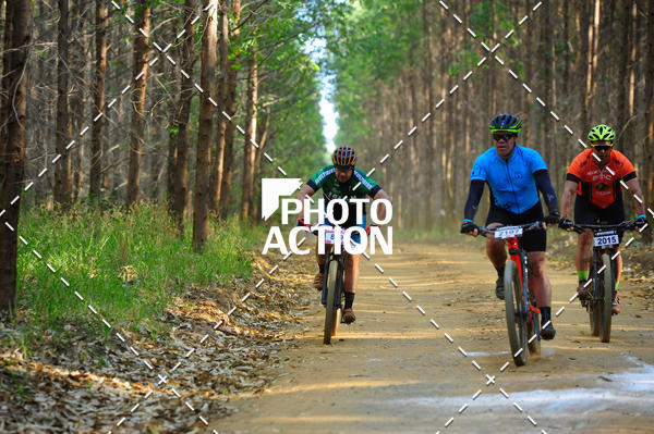 Buy your photos of the event16 Edio Maratona 100Km Canaviais on Fotop