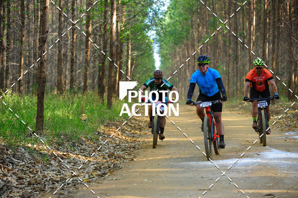 Buy your photos of the event16 Edio Maratona 100Km Canaviais on Fotop