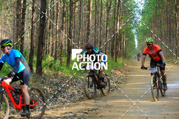 Buy your photos of the event16 Edio Maratona 100Km Canaviais on Fotop