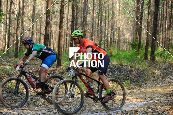 Buy your photos of the event16 Edio Maratona 100Km Canaviais on Fotop