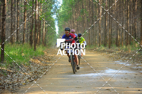 Buy your photos of the event16 Edio Maratona 100Km Canaviais on Fotop