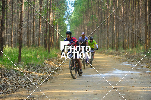 Buy your photos of the event16 Edio Maratona 100Km Canaviais on Fotop