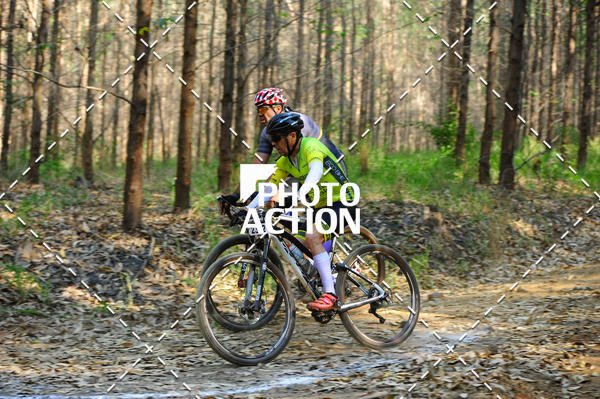 Buy your photos of the event16 Edio Maratona 100Km Canaviais on Fotop