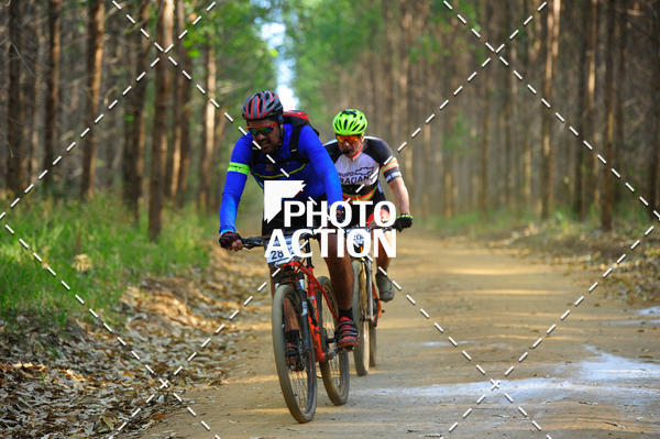 Buy your photos of the event16 Edio Maratona 100Km Canaviais on Fotop
