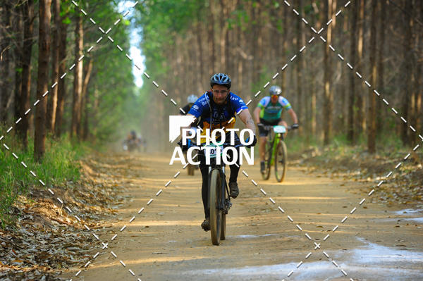 Buy your photos of the event16 Edio Maratona 100Km Canaviais on Fotop
