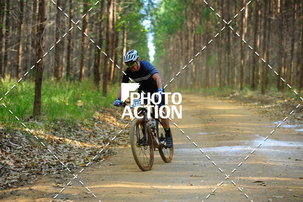 Buy your photos of the event16 Edio Maratona 100Km Canaviais on Fotop