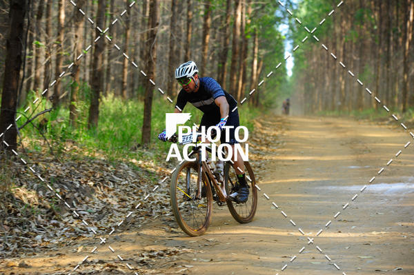 Buy your photos of the event16 Edio Maratona 100Km Canaviais on Fotop