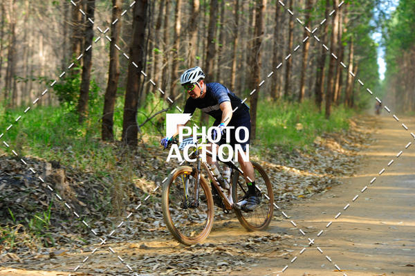 Buy your photos of the event16 Edio Maratona 100Km Canaviais on Fotop