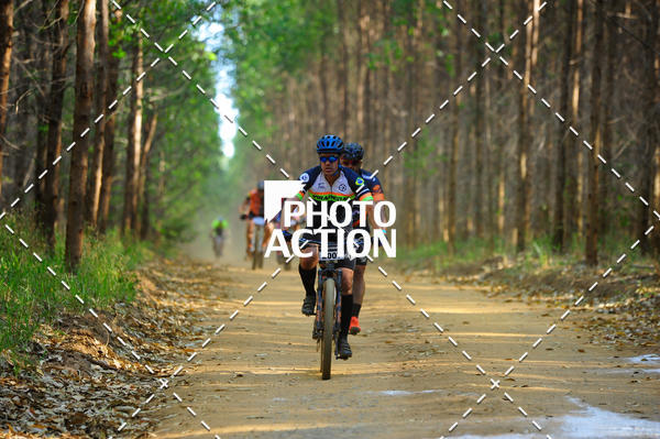 Buy your photos of the event16 Edio Maratona 100Km Canaviais on Fotop