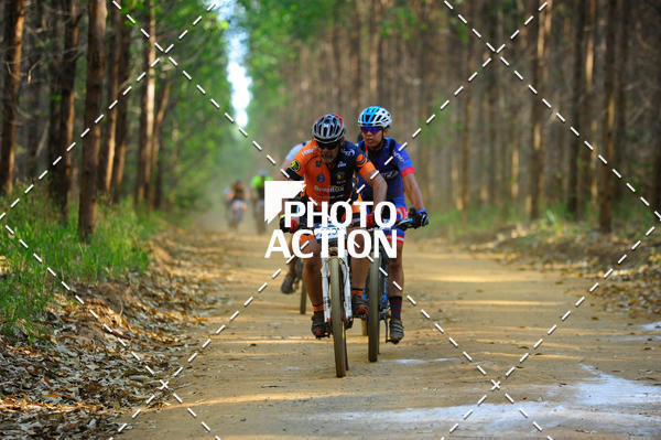 Buy your photos of the event16 Edio Maratona 100Km Canaviais on Fotop
