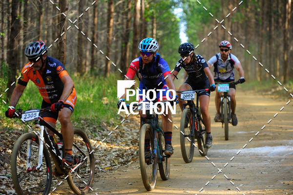 Buy your photos of the event16 Edio Maratona 100Km Canaviais on Fotop