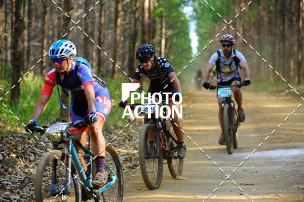 Buy your photos of the event16 Edio Maratona 100Km Canaviais on Fotop
