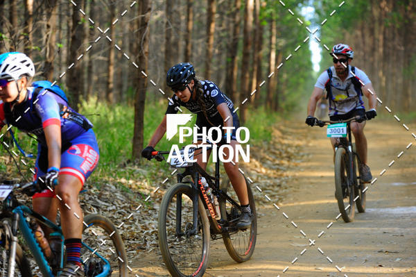 Buy your photos of the event16 Edio Maratona 100Km Canaviais on Fotop