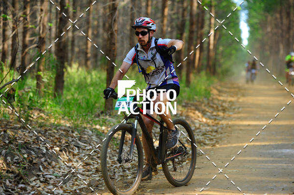 Buy your photos of the event16 Edio Maratona 100Km Canaviais on Fotop