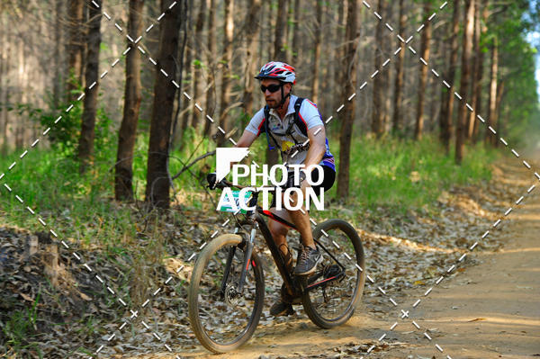 Buy your photos of the event16 Edio Maratona 100Km Canaviais on Fotop