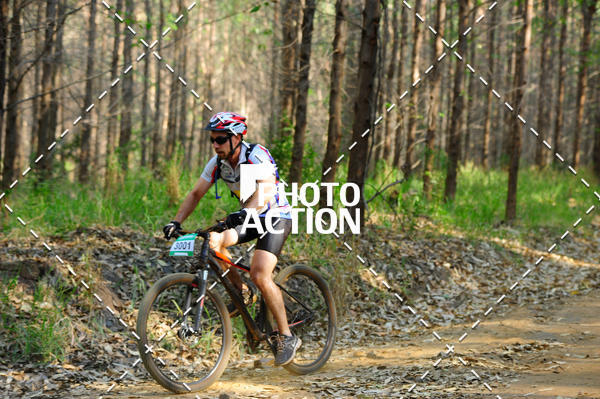 Buy your photos of the event16 Edio Maratona 100Km Canaviais on Fotop