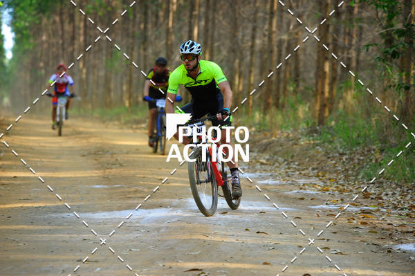 Buy your photos of the event16 Edio Maratona 100Km Canaviais on Fotop